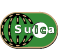 Suica