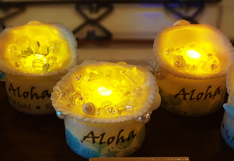 シェルトレイランプ(販売)