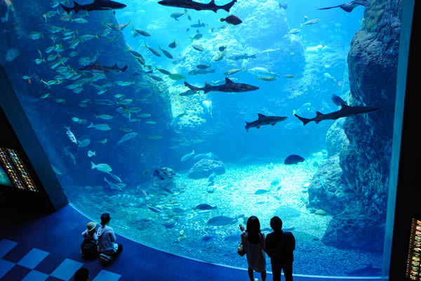 新江ノ島水族館