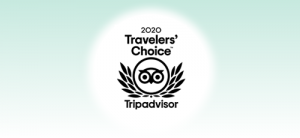tripadvisor 2020　Traveler's Cgoice