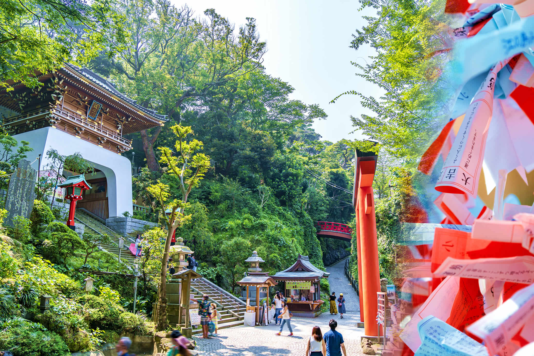 江島神社とおみくじ