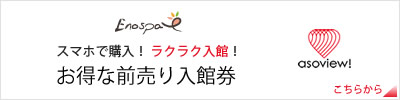 えのすぱ　温泉スパ 前売り入館券