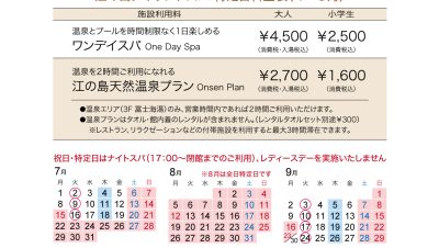 特定日料金