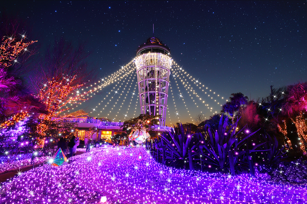 日本三大イルミネーション認定記念 湘南の宝石 特別メニュー